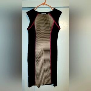 Black and Beige Striped Dress